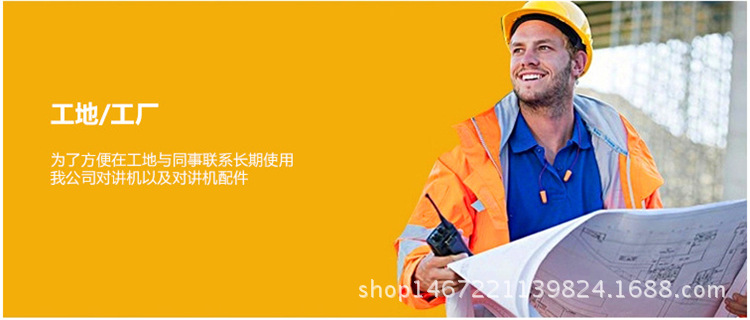 种类2.jpg